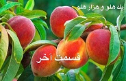 یک هلو و هزار هلو - قسمت آخر